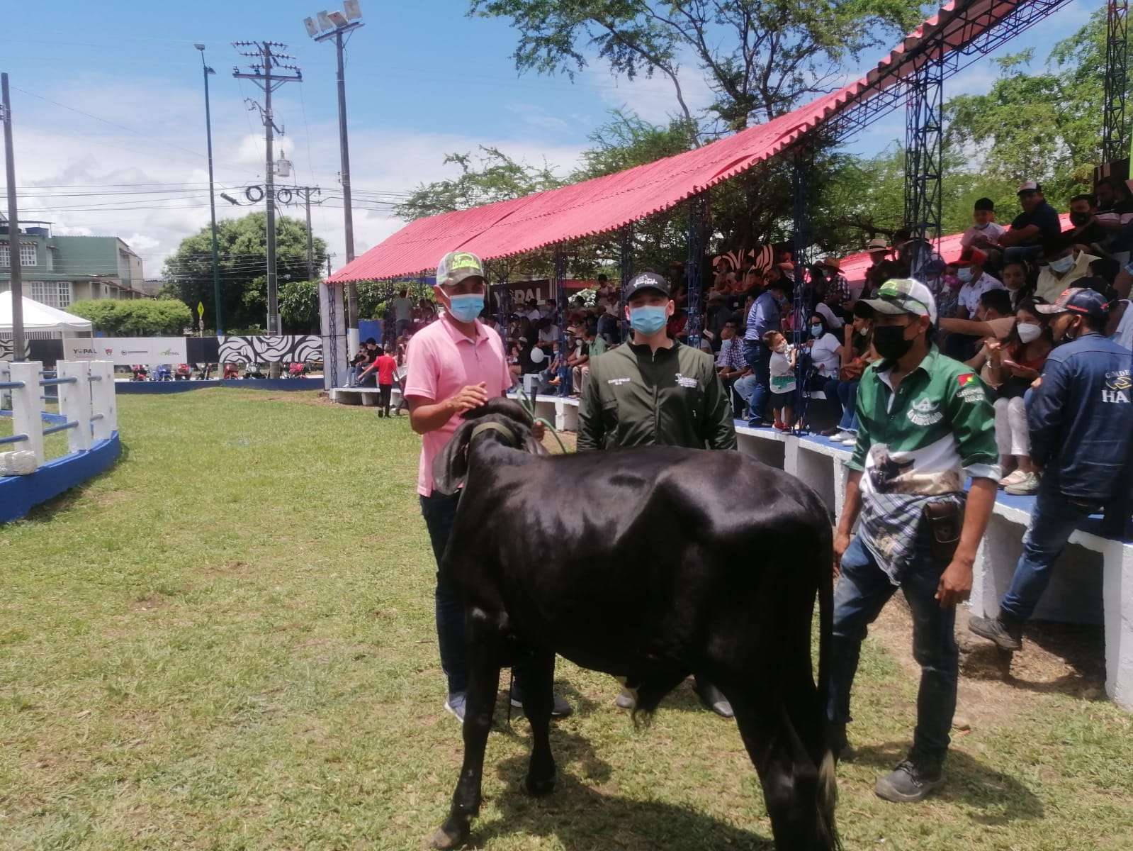 Feria Ganadera