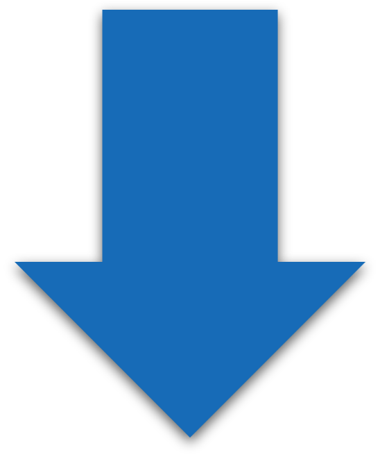 FLECHA