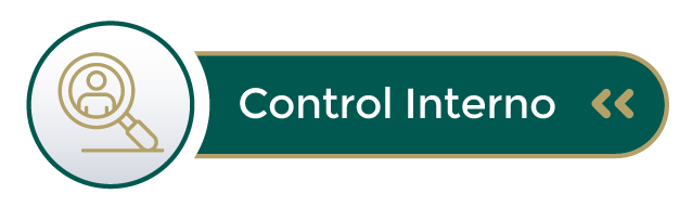 Control_Interno