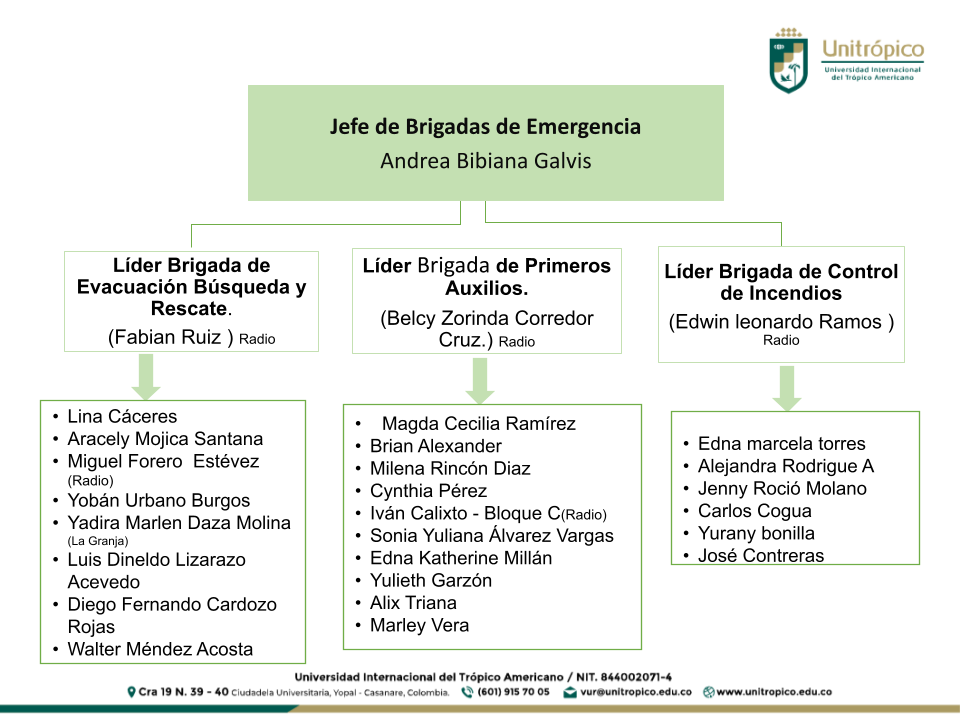 Estructura_Organizacion_Brigada_2025.pptx.png