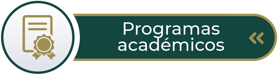 Programas_Academicos1.png
