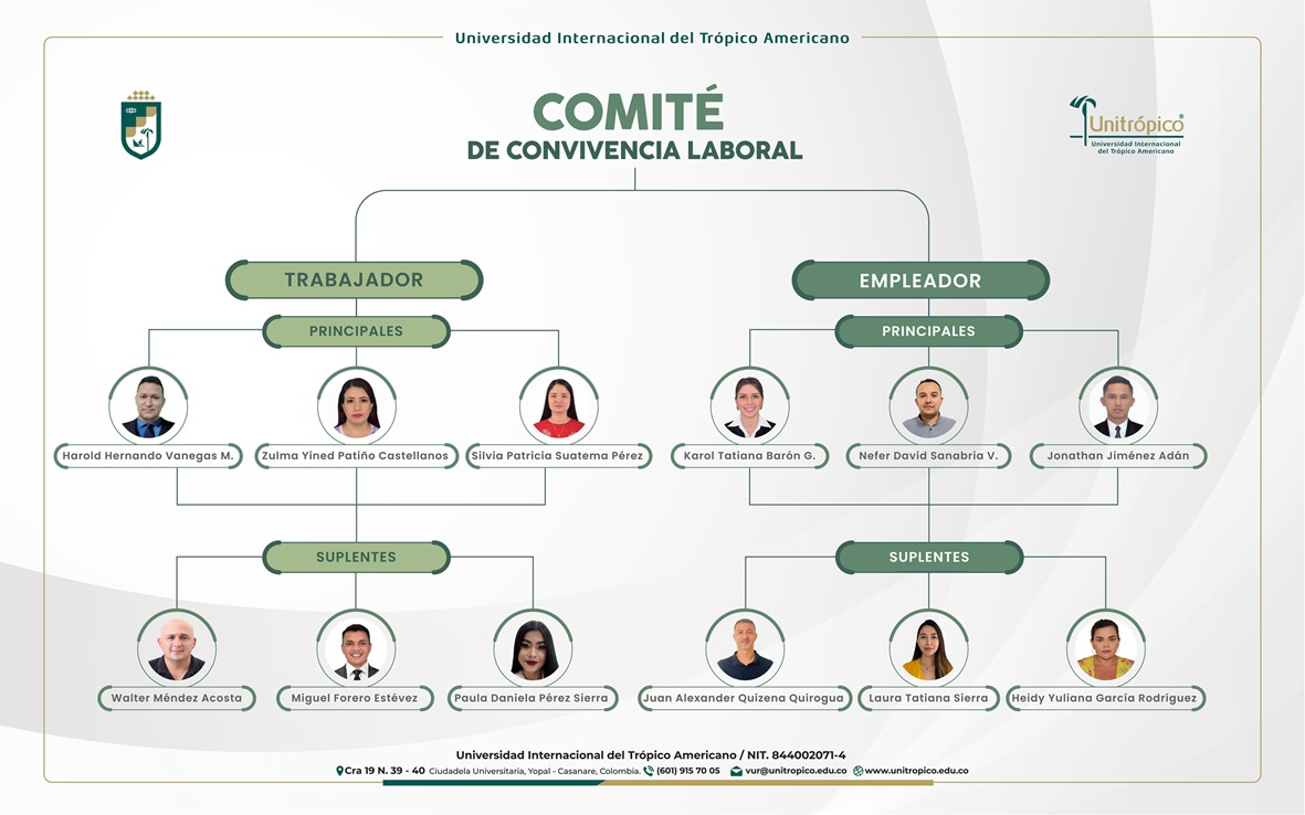 estructura-convivencia-laboral-2024-01_1.jpg