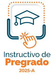 icono-instructivo-pregrado-2025-B.png