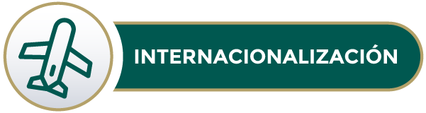 icono-internacionalizacion.png