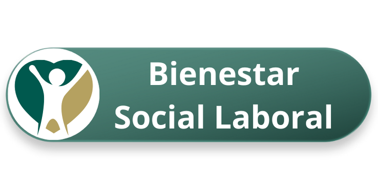 Ingreso Bienestar Social Laboral