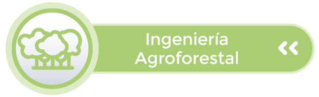 agroforestal.png