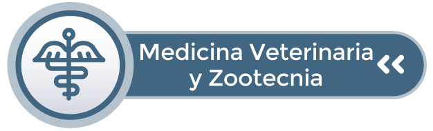 veterinaria.png