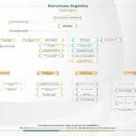 Diseño Estructura Orgánica Organigrama Institucional 2023 Unitrópico Casanare