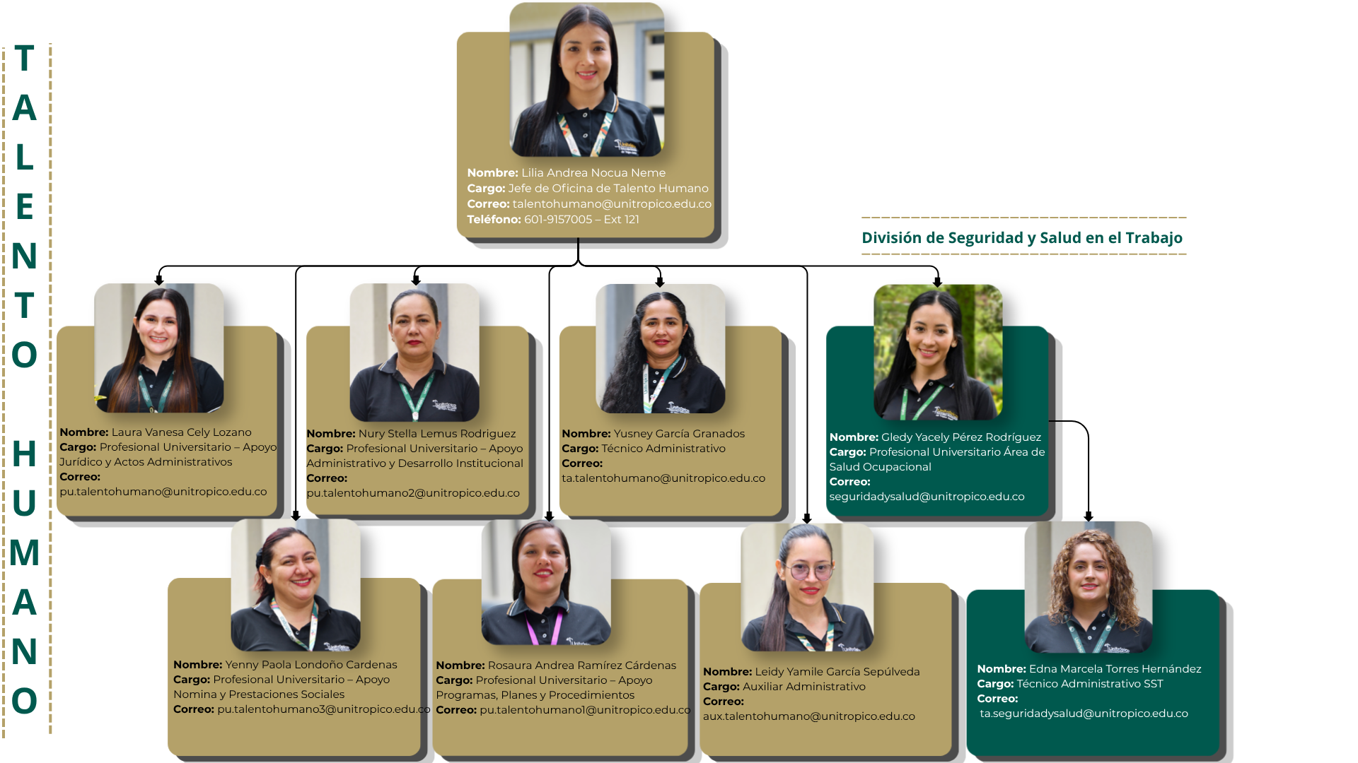equipo-trabajo